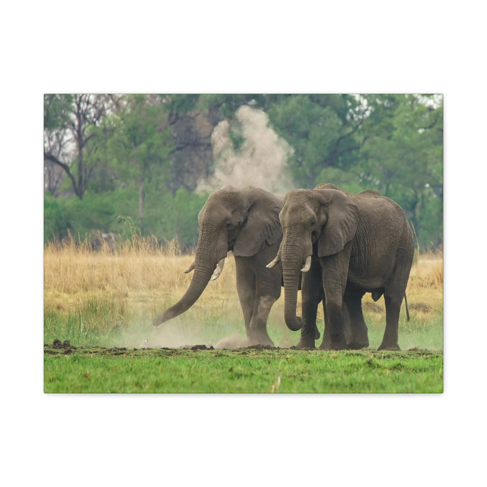 Couple of African Elephant Outdoor Wall Art Ready To Hang Unframed